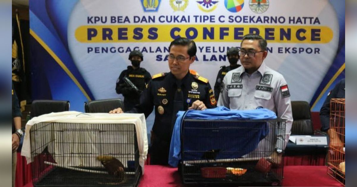 Selundupkan Burung Cenderawasih dan Berang-Berang, Aktor Bollywood Ditangkap di Bandara Soekarno-Hatta