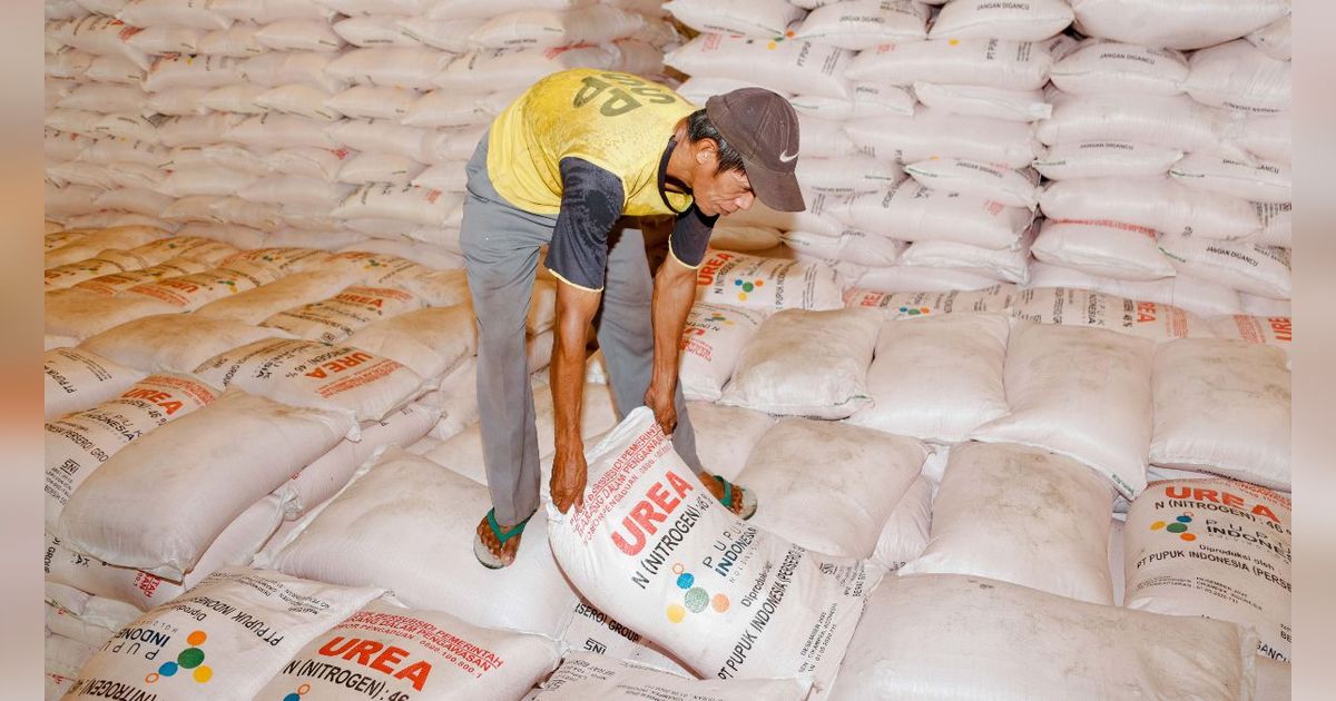 Stok Pupuk Subsidi di Bone Sulsel Capai 4.800 Ton, Ini Kriteria Petani Berhak Menerimanya