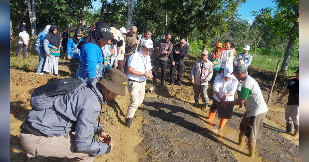 Lewat Cara Ini, Kementan Genjot Indeks Pertanaman Sawah di Lahan Rawa