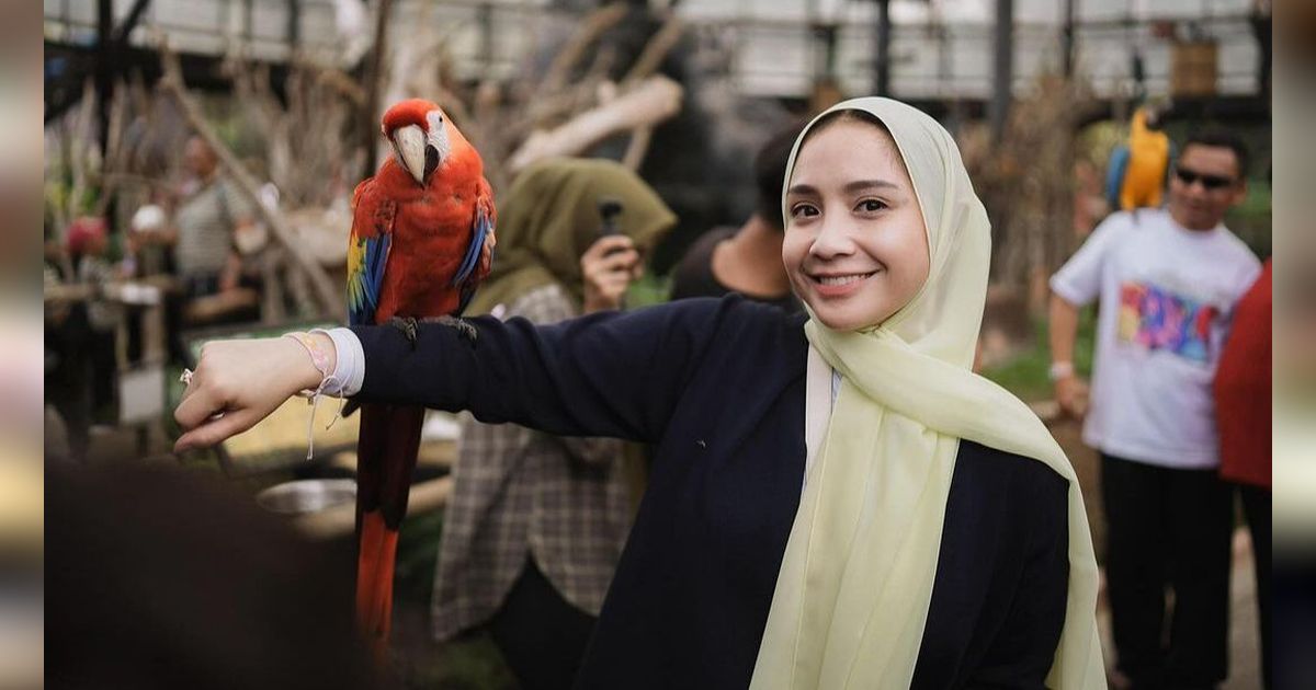 Artis Maju Pilkada, Punya Uang Banyak Tapi Elektabilitas Rendah