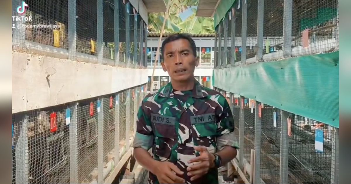 Kisah Lettu Budi Santoso, Prajurit TNI Sukses jadi Peternak Perkutut Penghasilan Perbulan Jutaan