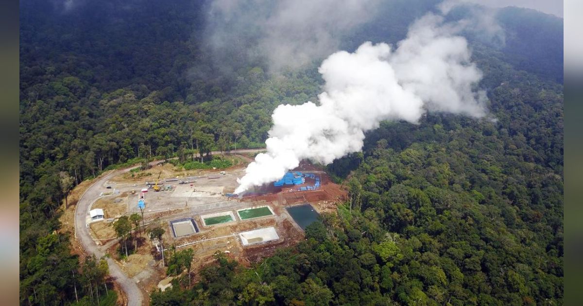 Ada Aturan Carbon Capture Storage, Pemerintah Harus Jaga Harga Listrik Tetap Terjangkau