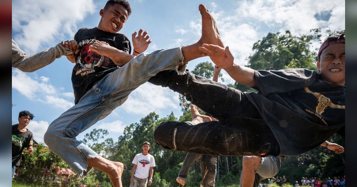 FOTO: Melihat Tradisi Sisemba, Duel Kaki Mendebarkan di Tana Toraja