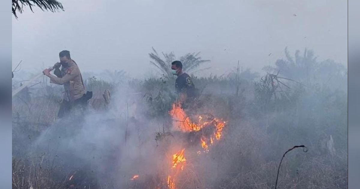 Sepanjang 2024, 1.500 Ha Lahan di Riau Terbakar, 7 Orang jadi Tersangka