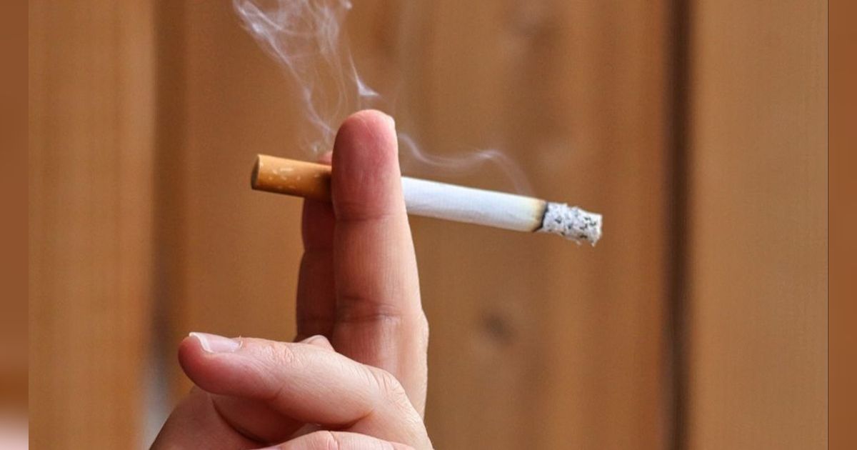 Apa Benar Filter Rokok Mengandung Darah Babi? Cek Faktanya