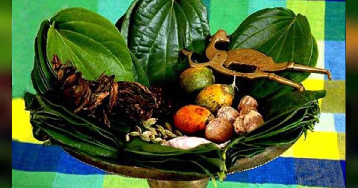 7 Resep Jamu Daun Sirih Khusus Kewanitaan yang Bisa untuk Keputihan dan Tanpa Bau