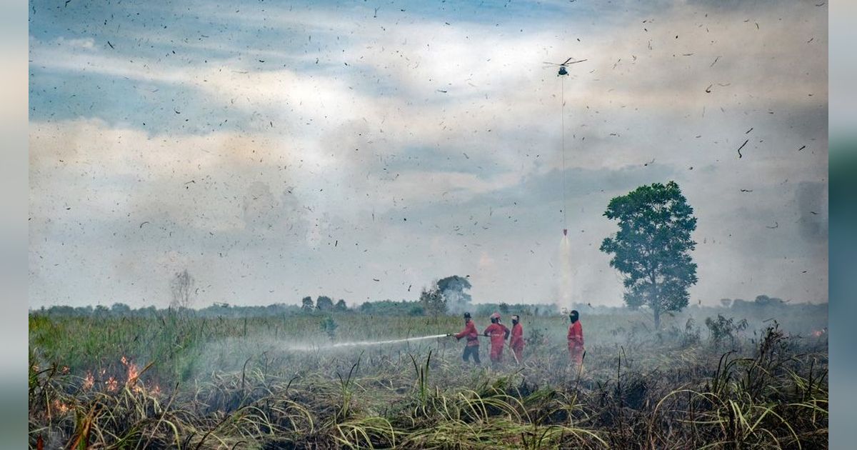 FOTO: Perjuangan Petugas Berjibaku Padamkan Karhutla di Ogan Ilir Sampai Kerahkan Helikopter