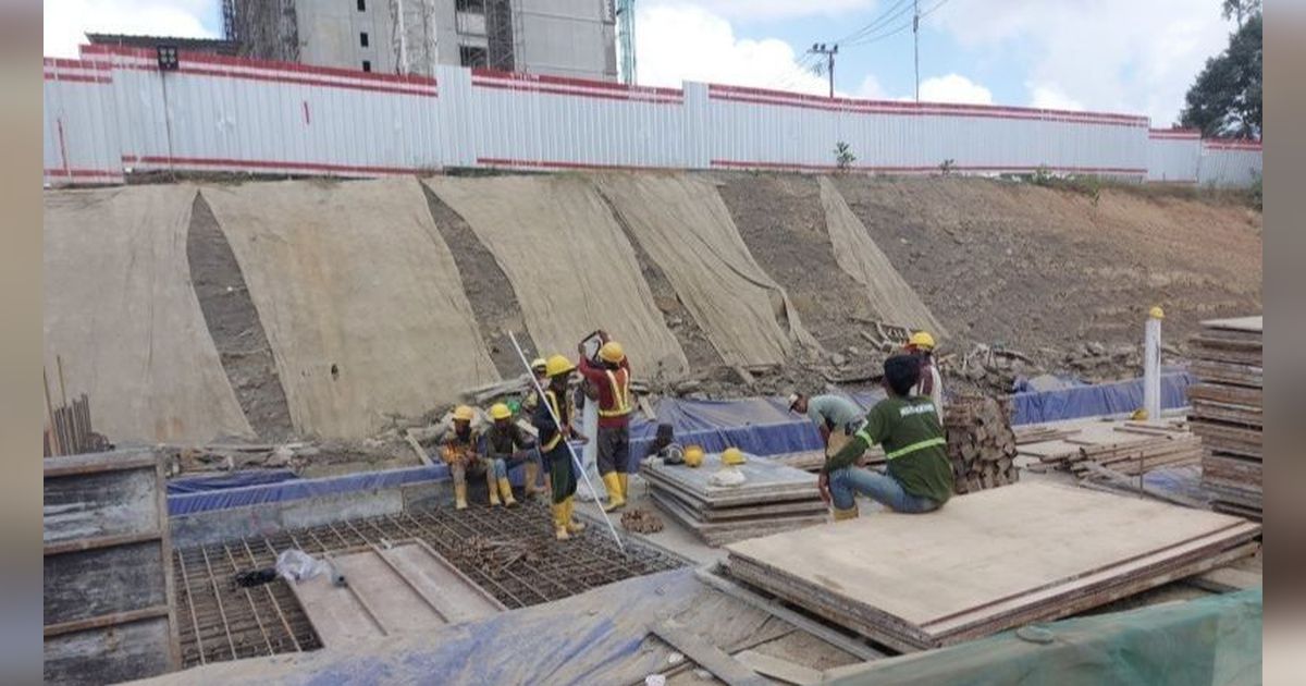 KSP Klaim Pembangunan IKN Tak Ganggu Kehidupan Orang Utan