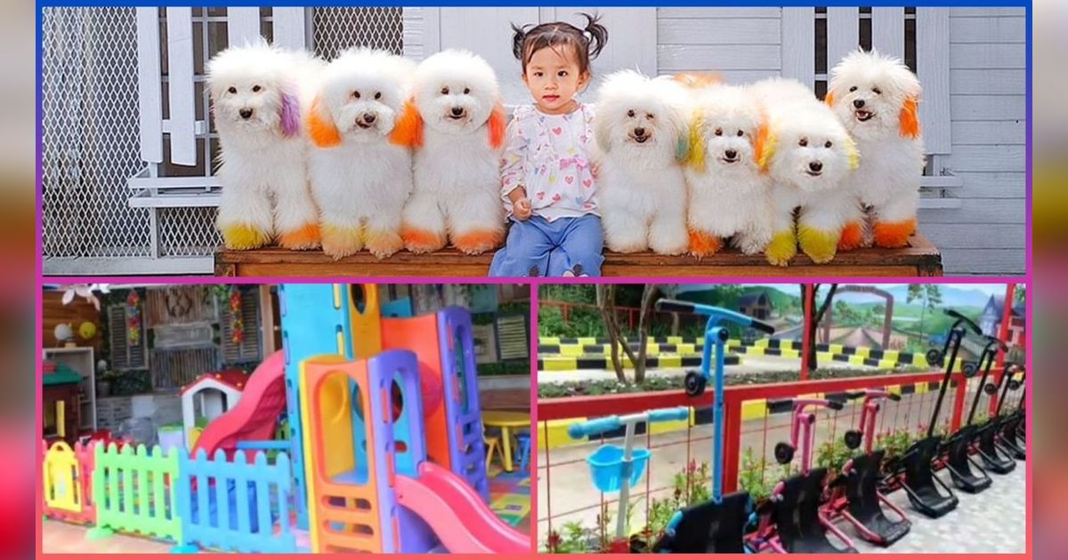 Mengunjungi Petshop Unik di Bandung, Ada Taman Hijau dan Playground Anak, Cocok untuk Liburan