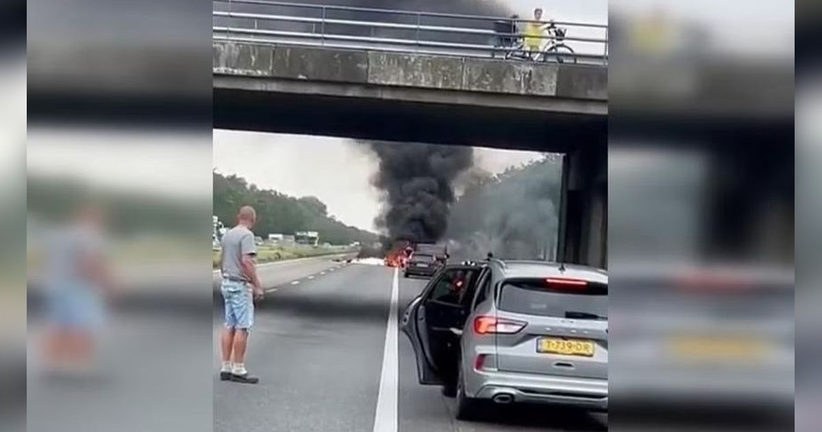 Detik-Detik Mencekam Pesawat Jatuh di Jalan Tol, Pengemudi Mobil Panik Puing Berterbangan