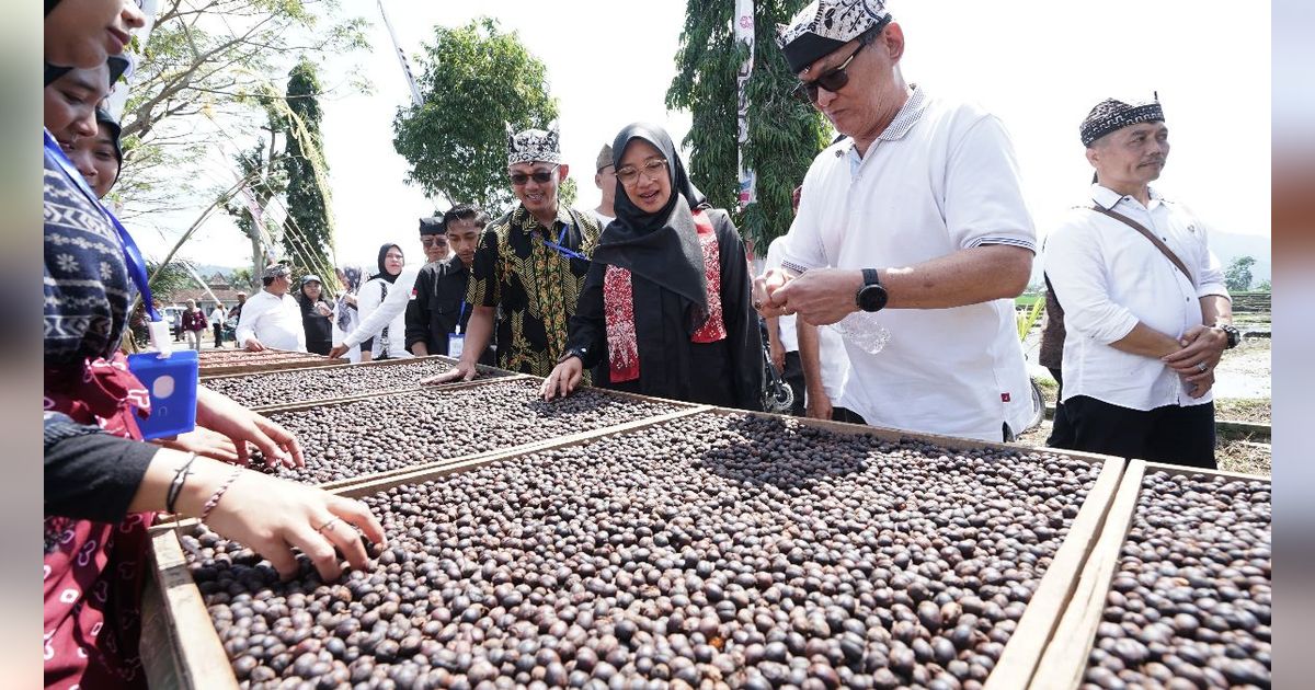 Angkat Kopi Rakyat, Banyuwangi Gelar Festival Kopi Kalibaru