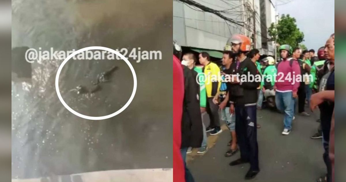 Viral Pertikaian Dua Raja Jalanan Pengemudi Ojol vs Debt Collector di Sawah Besar, Motor Sampai Ke X