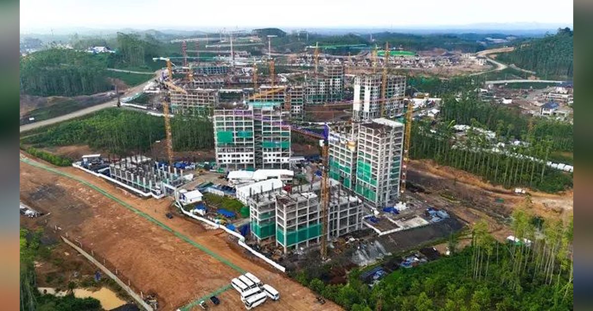 Pemerintah Sewa 1.000 Mobil untuk Tamu HUT RI ke-79 di IKN, Alphard Sehari Rp25 Juta