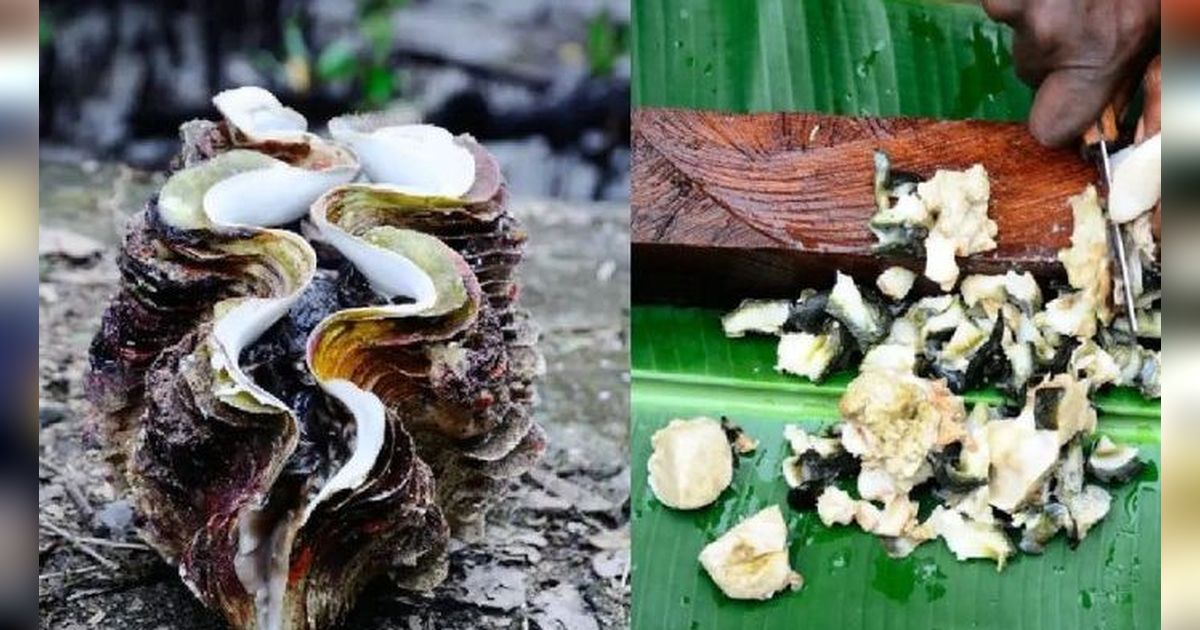 Mengunjungi Kaimana Papua Barat, Kota Senja Terindah yang Punya Kerang Lezat Mirip Sashimi