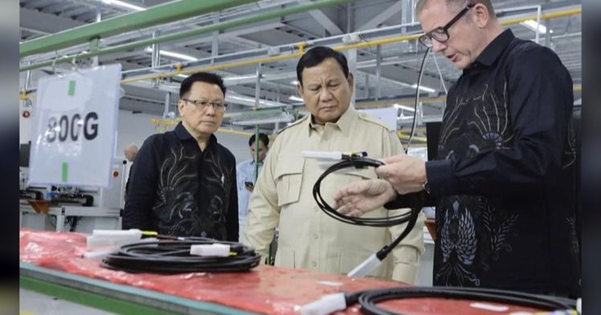 Pewaris Dinasti Perbankan Eropa Nat Rothschild Investasi di Batam, Ternyata Sahabat Dekat Prabowo