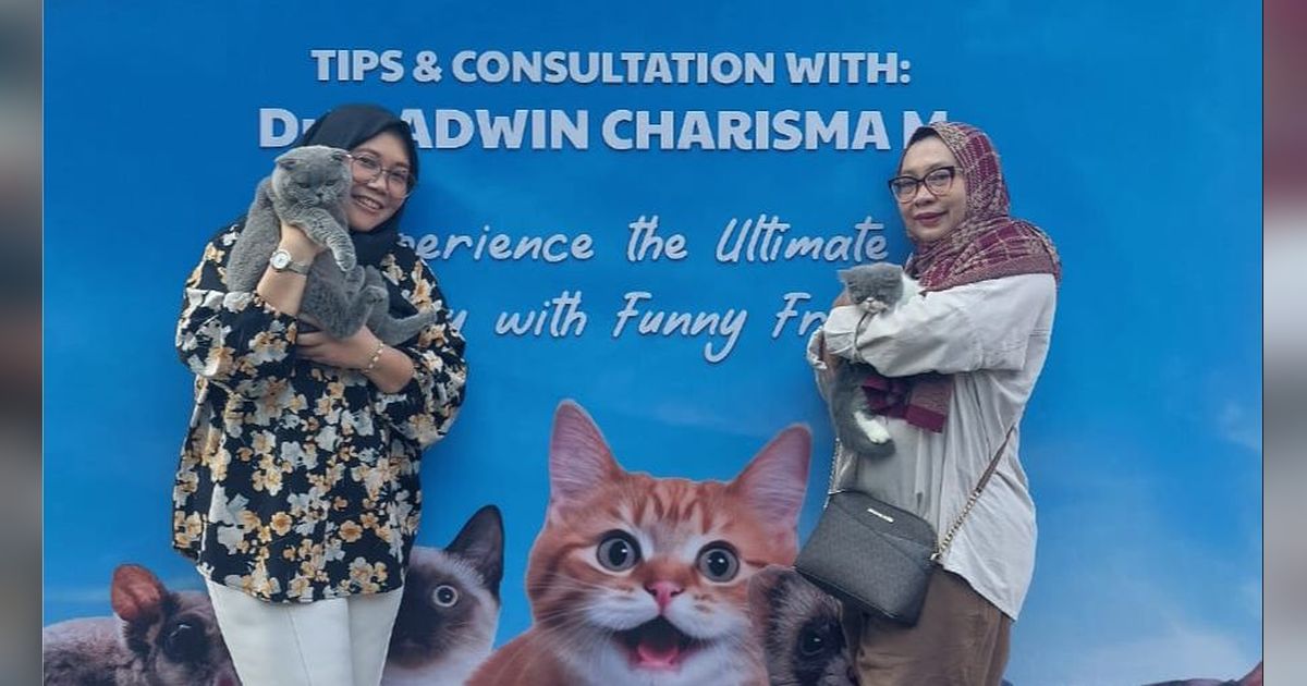 Viral Pemilik Kos Makan Daging Kucing buat Obat Diabetes, Komunitas Penyayang Kucing Desak Edukasi Masyarakat