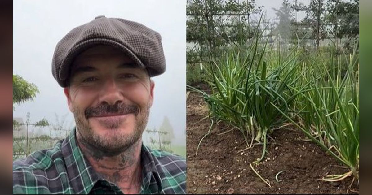 David Beckham Tampil Sederhana Beternak Ayam dan Berkebun, Kehidupan Selepas Pensiun Jadi Sorotan