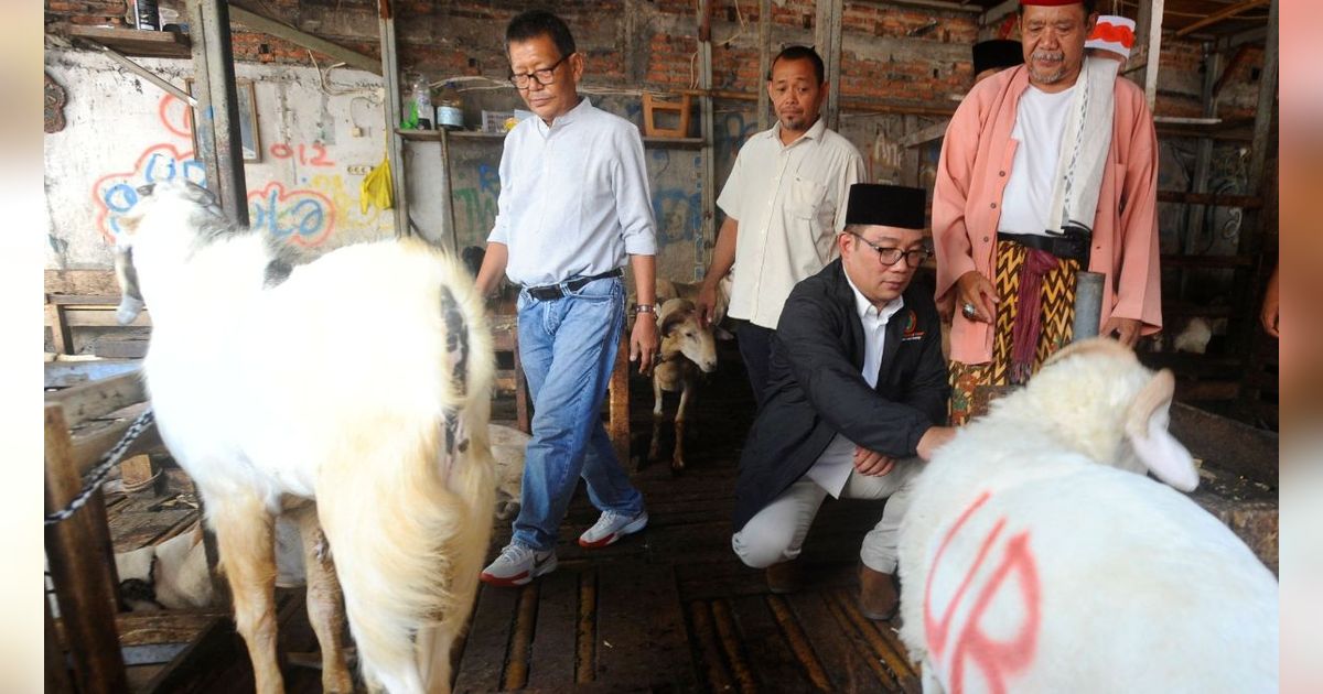 FOTO: Bakal Calon Gubernur Jakarta Ridwan Kamil Serap Aspirasi Pedagang Pasar Kambing di Tanah Abang