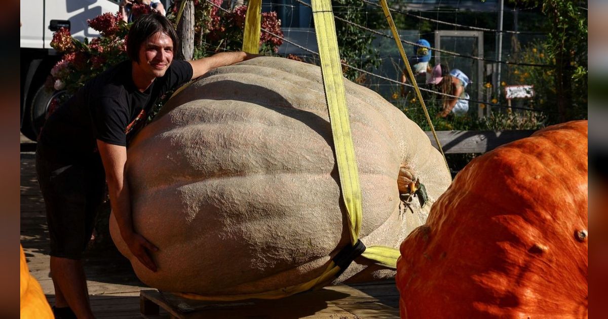 FOTO: Pameran Sayuran Raksasa di Rusia, Labu Parang Seberat 817 Kg Ini Cetak Rekor