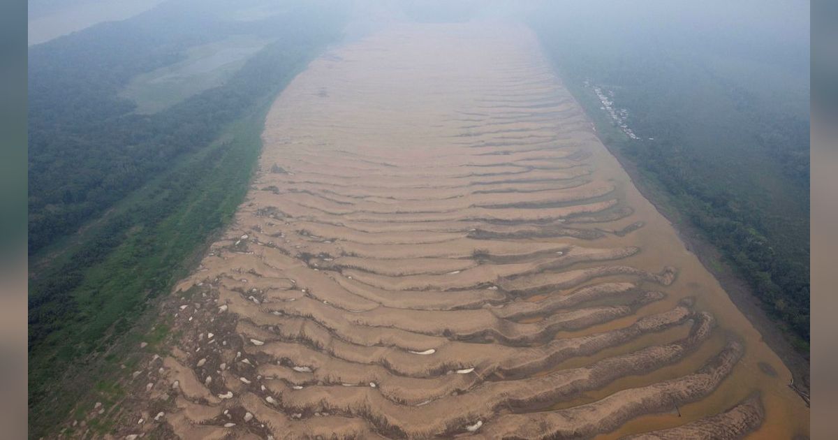 FOTO: Penampakan Air 'Menghilang' dari Anak Sungai Amazon Kala Kekeringan Parah Melanda