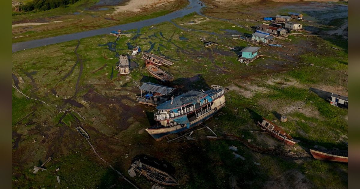 FOTO: Penampakan Danau di Amazonas Brasil Dilanda Kekeringan Parah, Perahu-Perahu Tak Lagi Bisa Berlayar