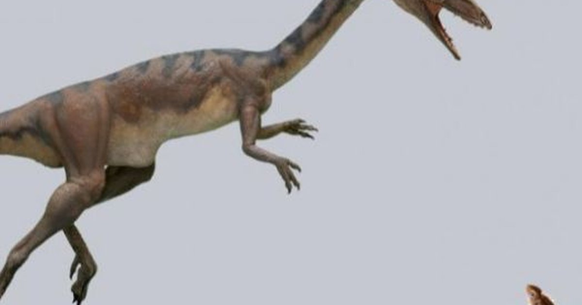 Penemuan Spesies Dinosaurus Baru Yang Hidup 145 Juta Tahun Lalu ...