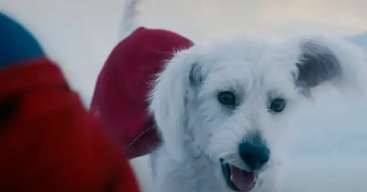 Yuk Kenalan Sama Krypto, Anjing Pelihaharaan Superman yang Punya Kekuatan Tak Terduga
