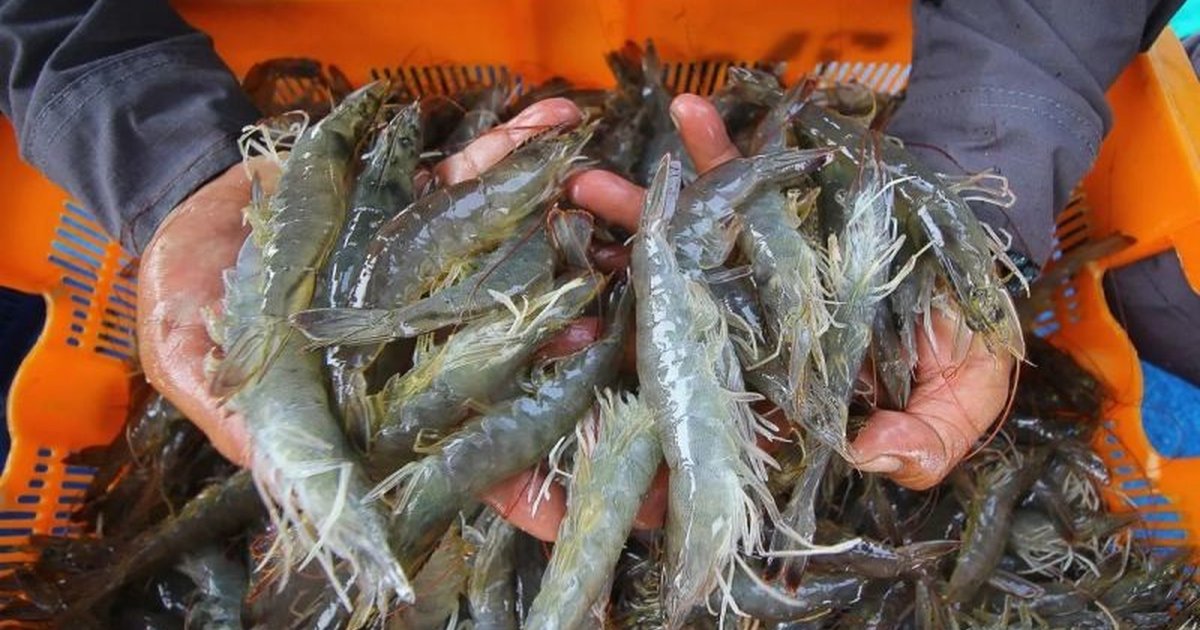 Apa Itu Cesium-137? Pemerintah Perkuat Penanganan Radiasi Cs-137, Jamin ...