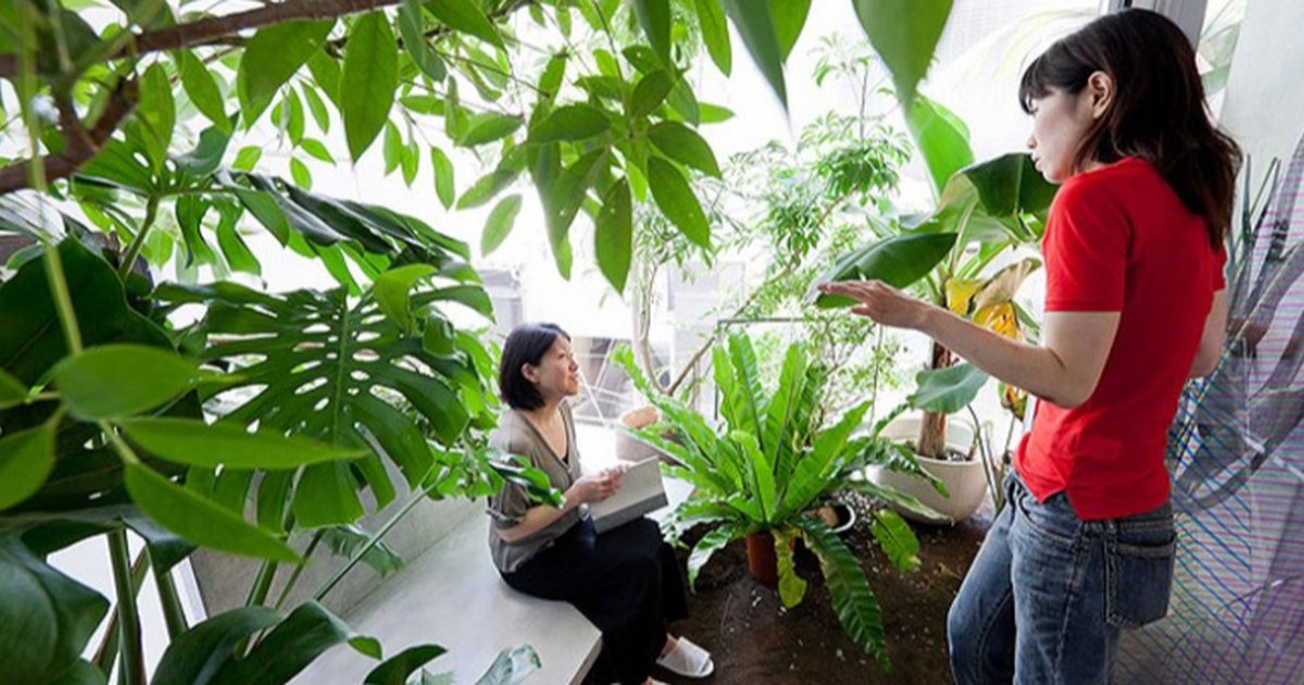 Inspirasi Taman Depan Rumah Minimalis Modern yang Menawan dan Kekinian