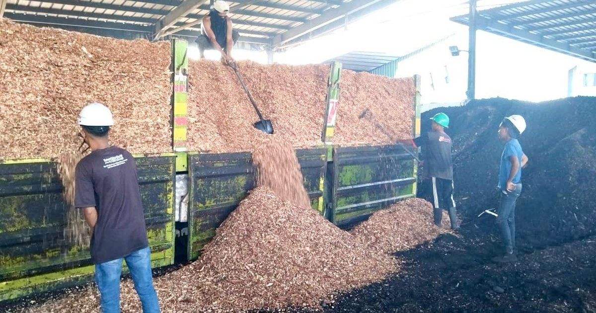 Demi Ketahanan Energi RI, PLN EPI Gandeng Pemprov Kembangkan Ekosistem Biomassa