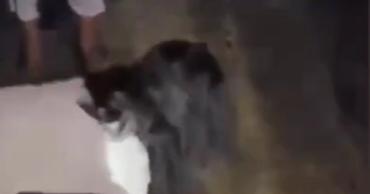 Buntut Pukuli & Suruh ABG Cium Kaki Usai Rebutan Cowok, Remaja Perempuan Ditetapkan ABH tapi Tak Ditahan