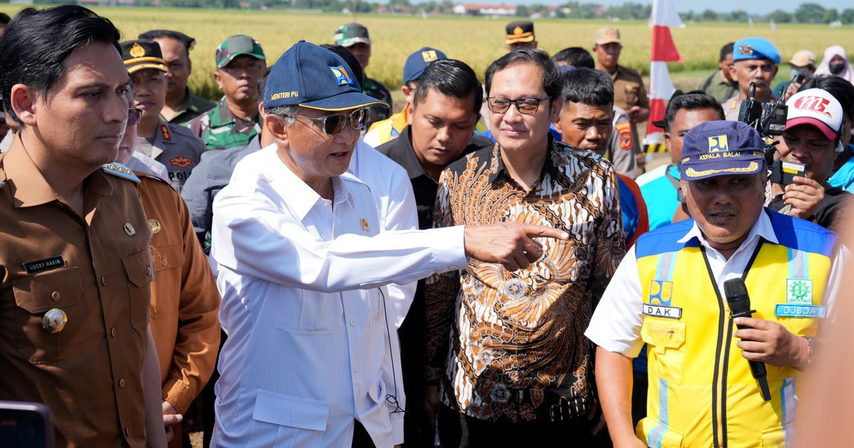 Panen Demplot Bersama Petani, Menteri PU Dorong Penerapan IPHA untuk Swasembada Pangan