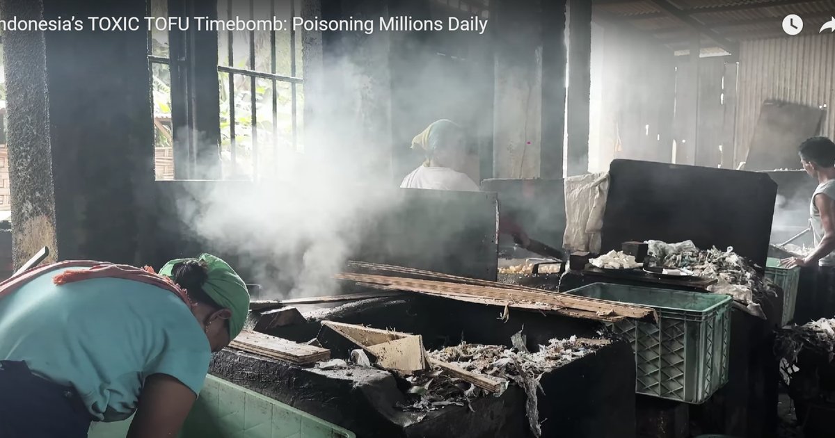 Bahaya Tersembunyi di Balik Tahu Goreng: Dampak Penggunaan Bahan Bakar Sampah pada Kesehatan dan Lingkungan