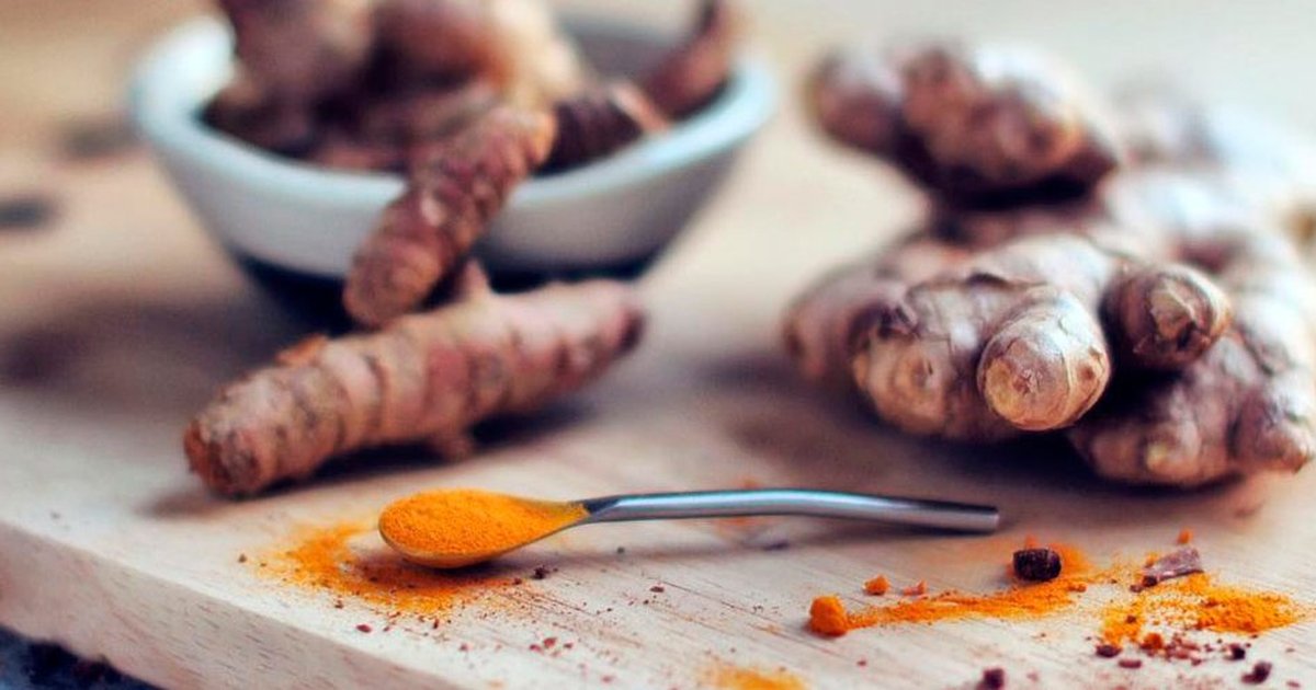 Rahasia Temulawak: Obat Alami Atasi Maag, Gastritis, dan Lindungi Kesehatan Lambung Anda!