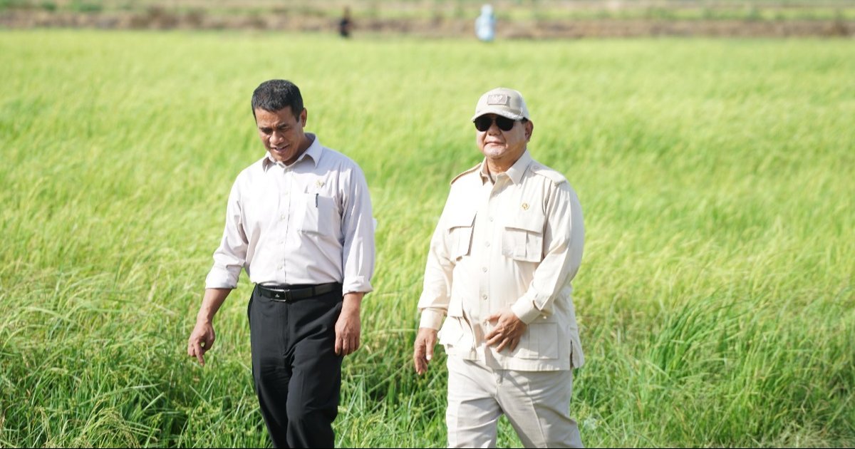 Mentan Amran Unggah Foto Bareng Prabowo di Tengah Sawah dan Tulis 'Alhamdulillah' - merdeka | OPSIIN-1