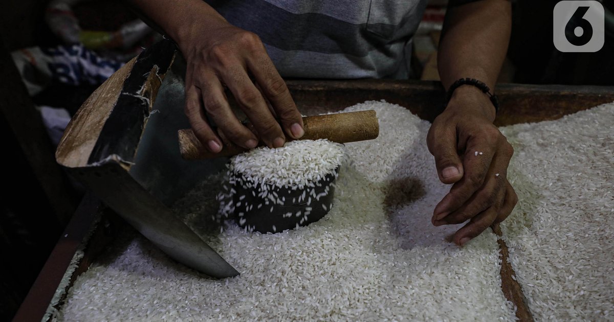 Buto ang Mafia ng Bigas: Presyo ng Bigas Bumaba ng Rp1,000 Bawat Pack Dahil sa Aksyon ng Ministro!