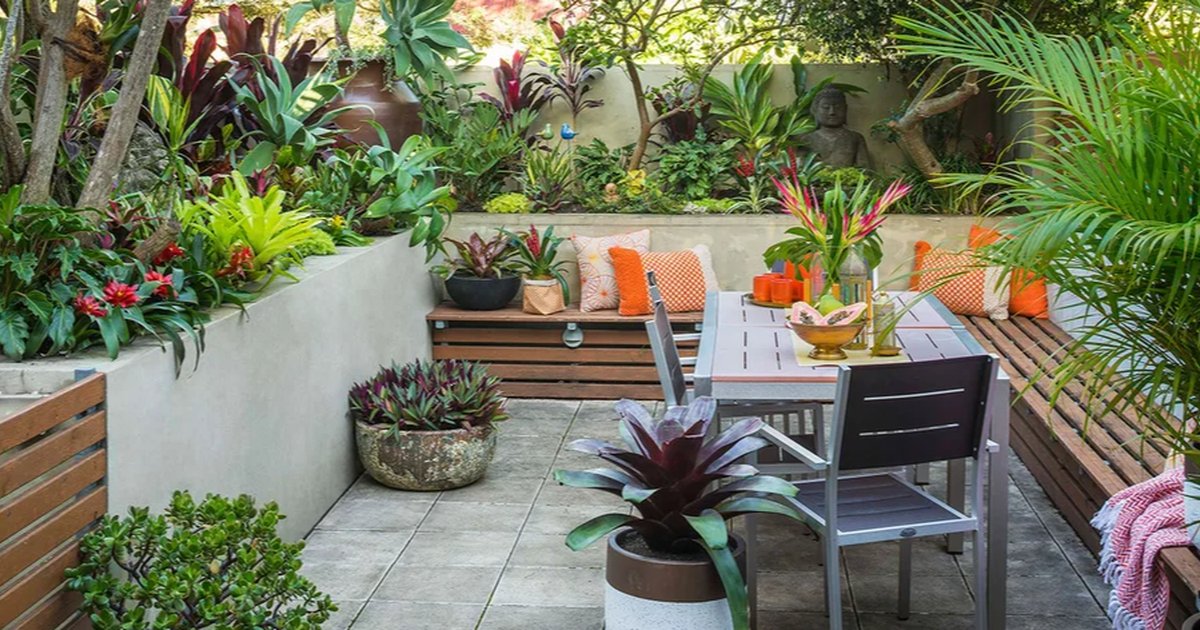 26 Tanaman Hias Cocok di Teras Rumah, Mudah Dirawat dan Bisa Bikin Iri ...