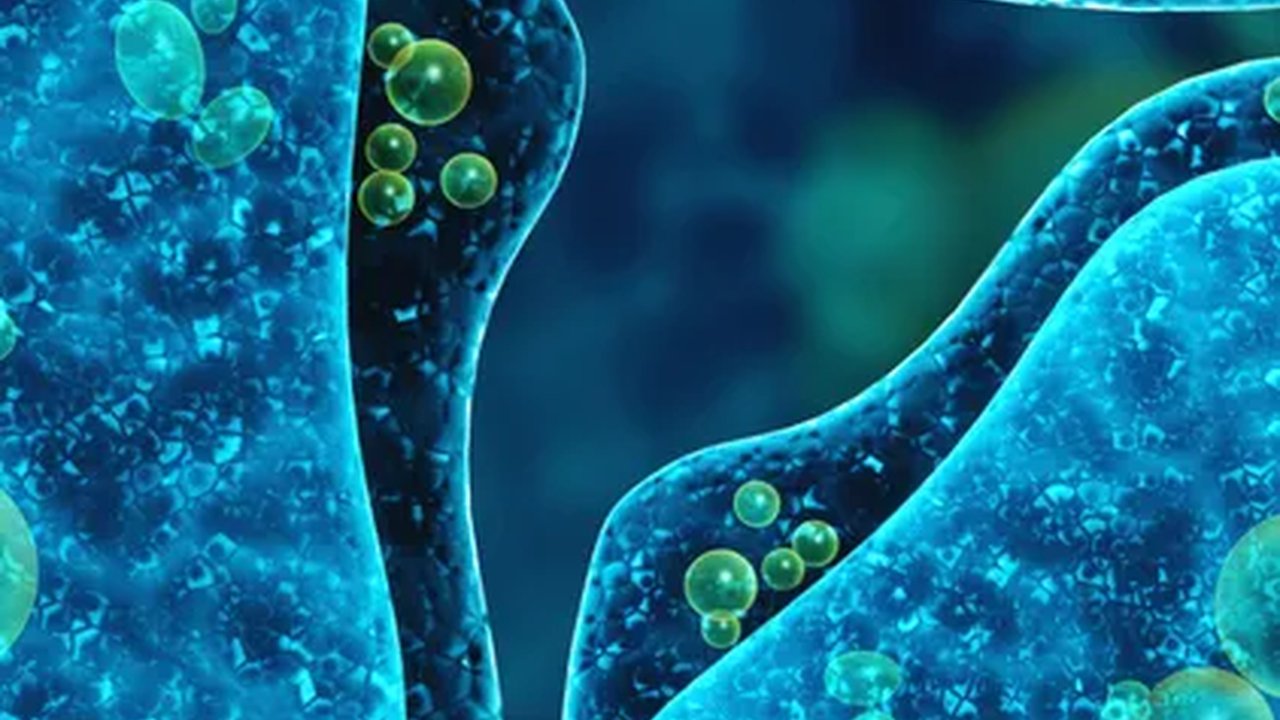 Mengenal Brain-Eating Amoeba, Mikroorganisme Pemakan Otak Manusia