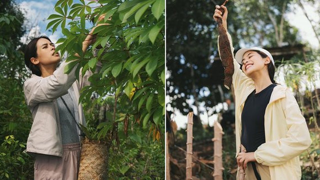 8 Potret Maudy Ayunda Panen Singkong dan Meramban Daun di Hutan Kalimantan