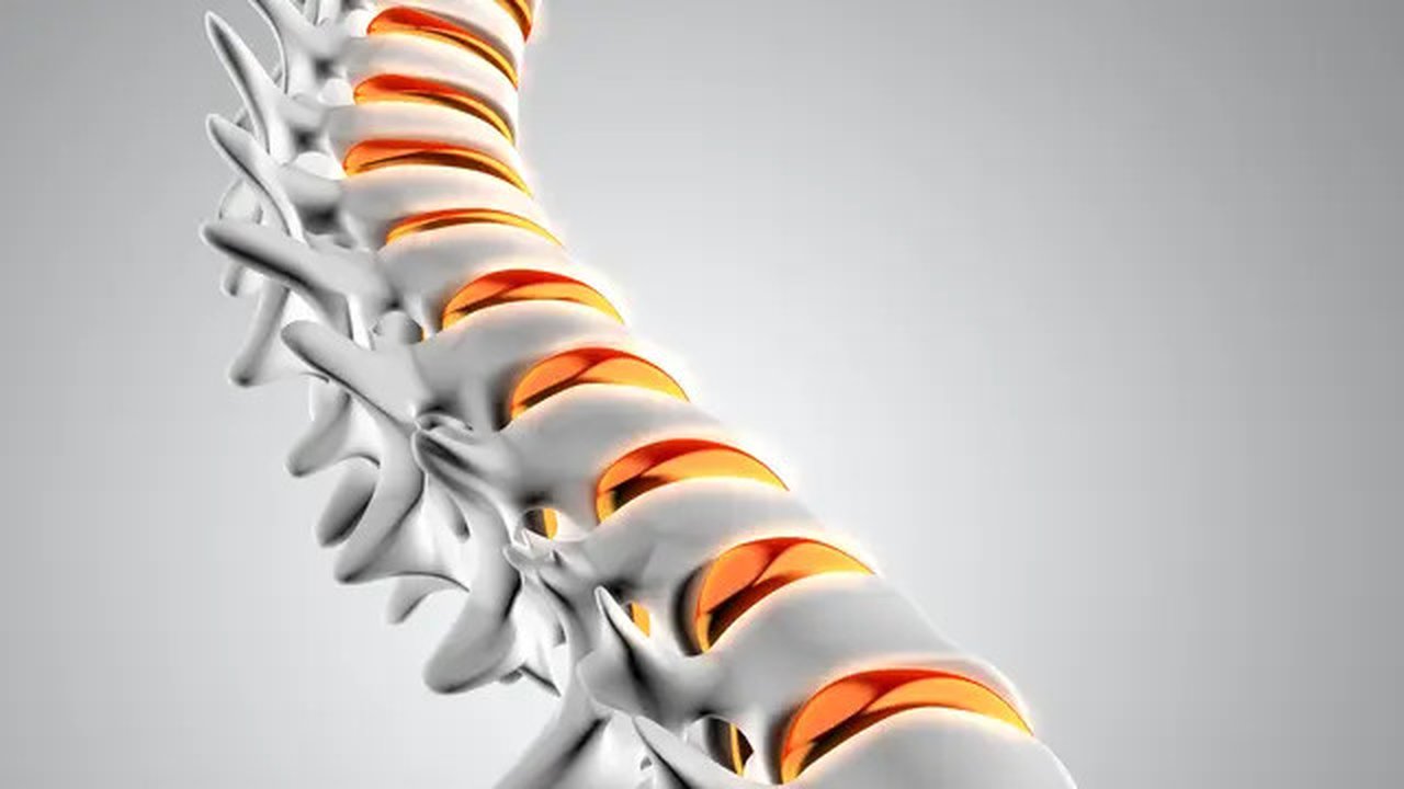 Ilustrasi Tulang/Freepik.com