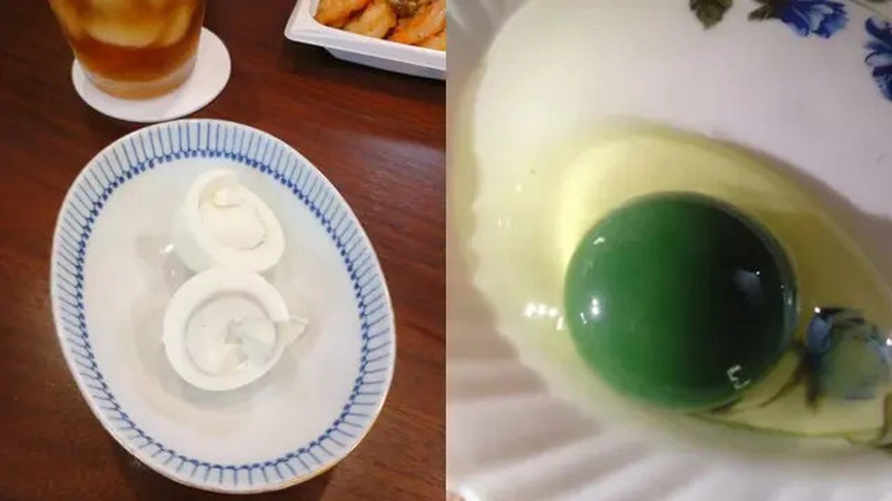 Warna Kuning Telur Ayam Jadi Putih dan Hijau (Sumber: Oddity Central)
