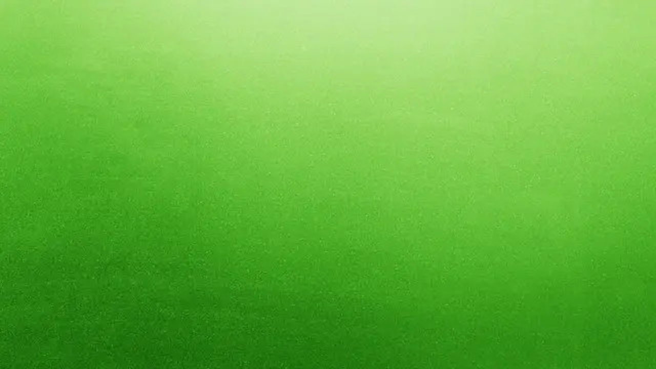 Ilustrasi sebagian pelabuhan Sydney di Australia berubah menjadi hijau terang. (Freepik/bedneyimages)