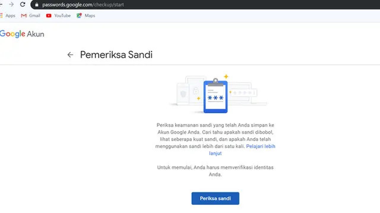 Fitur Password Checkup pada Google (Foto: Screenshot Password Checkup)