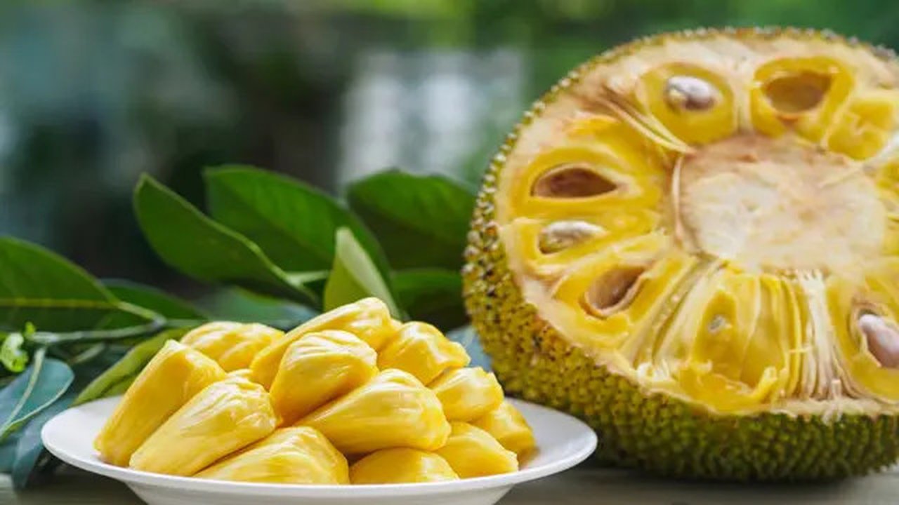 ilustrasi manfaat mengonsumsi biji nangka untuk kesehatan/pexels