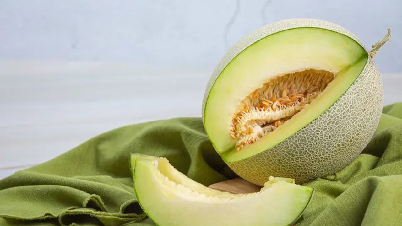 Ilustrasi Buah Melon yang Manis dan Segar / Freepik by jcomp