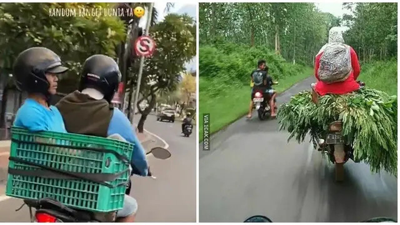 Potret Tempat Duduk Nyeleneh di Motor. (Sumber: X/@komedisantuy dan 1cak.com)