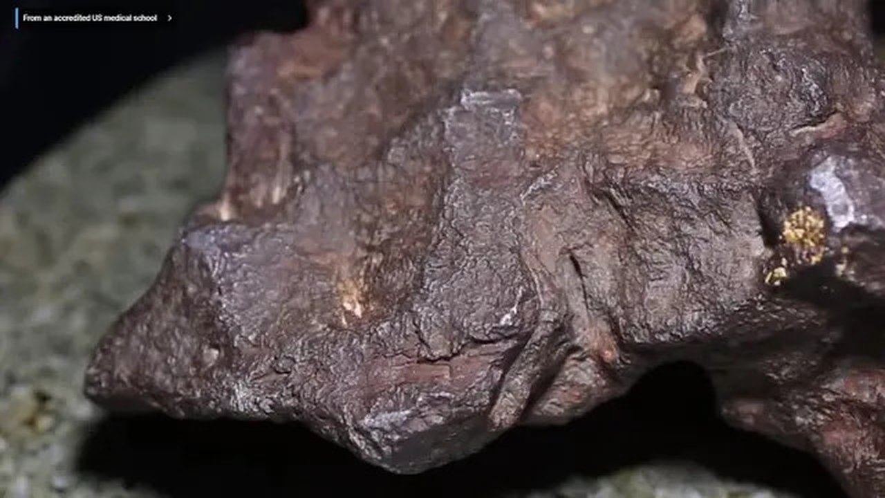Batu Meteorit Ini Harganya Rp 1.6 Miliar Hanya Jadi Ganjal Pintu (Sumber: Youtube/Central Michigan University)