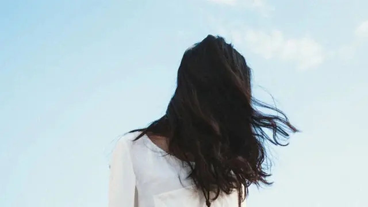 Ilustrasi Rambut Panjang (pixabay.com)