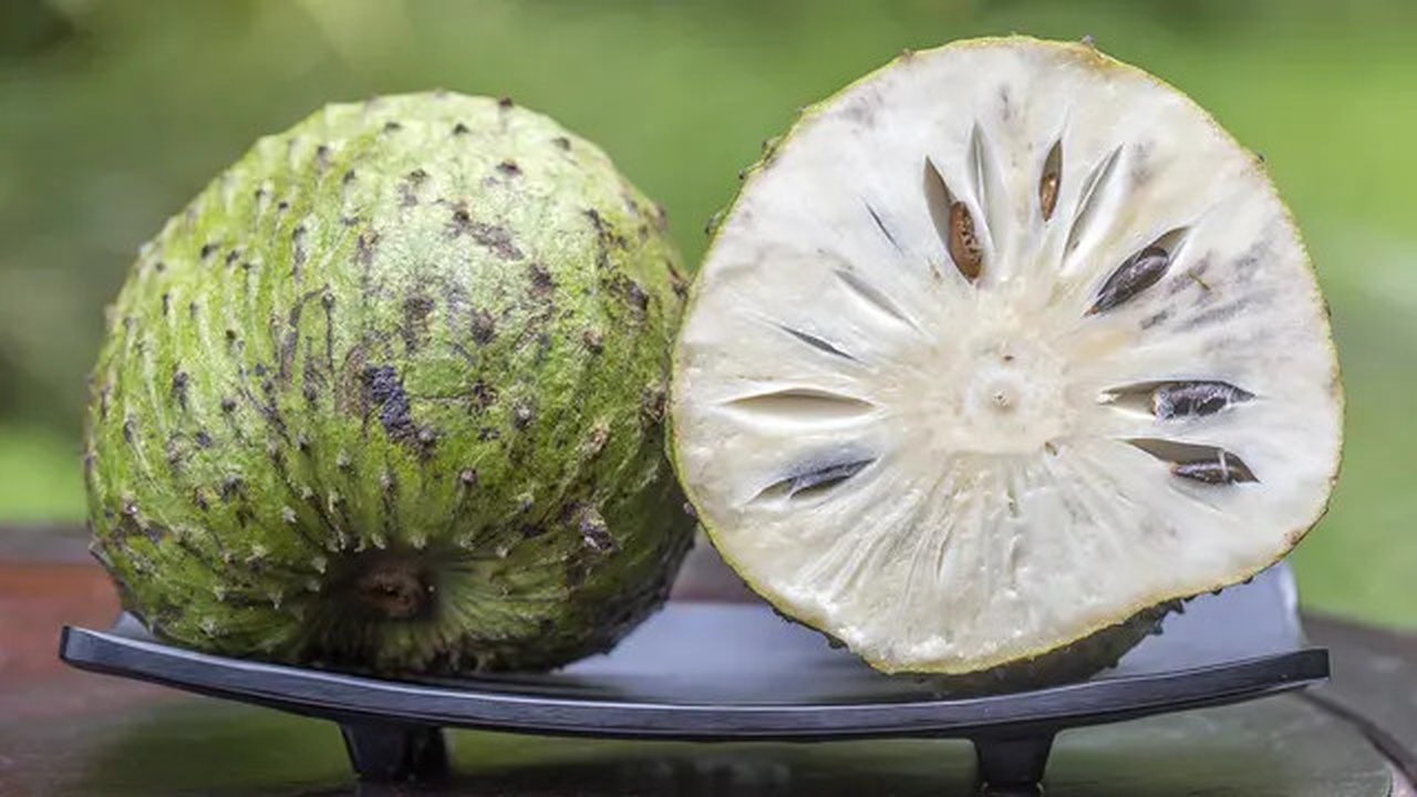 Manfaat Buah Sirsak (sumber: iStock)
