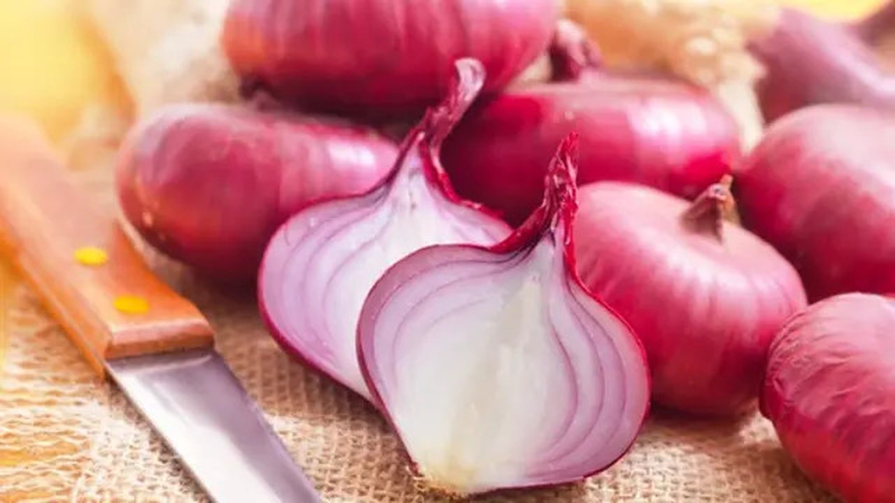 Ilustrasi bawang merah